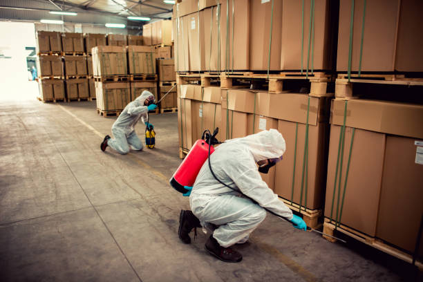 Best Bed Bug Extermination  in Pion Hills, CA