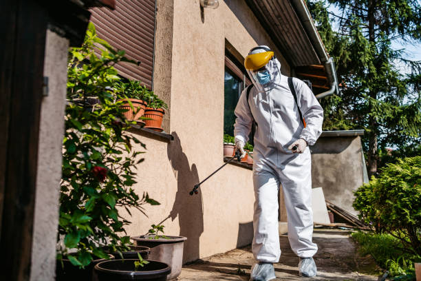 Wasp Removal Services in Pion Hills, CA
