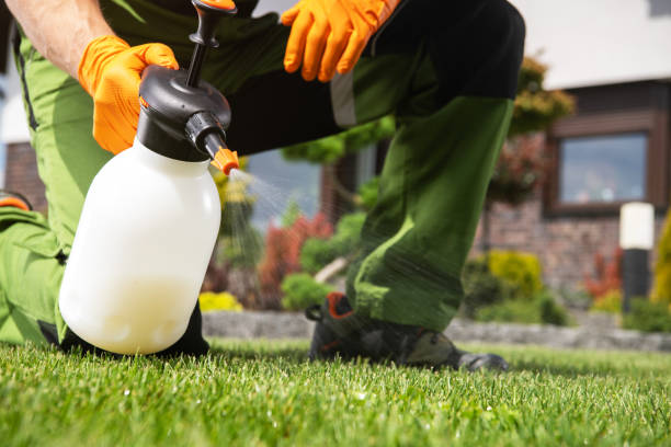 Best Insect Control  in Pion Hills, CA