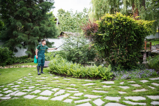 Best Termite Control Services  in Pion Hills, CA