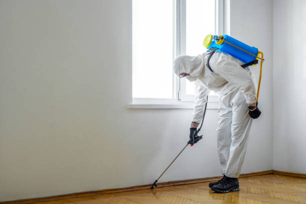 Pest Prevention Services in Pion Hills, CA