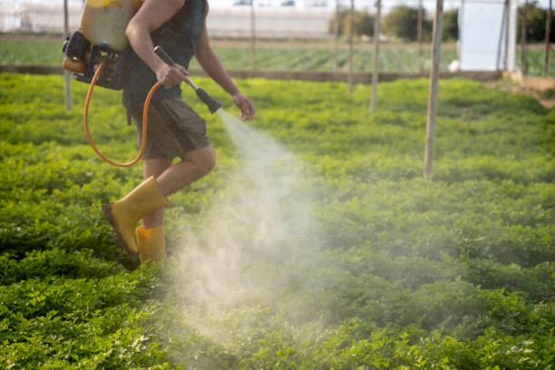 Best Exterminator Services  in Pion Hills, CA