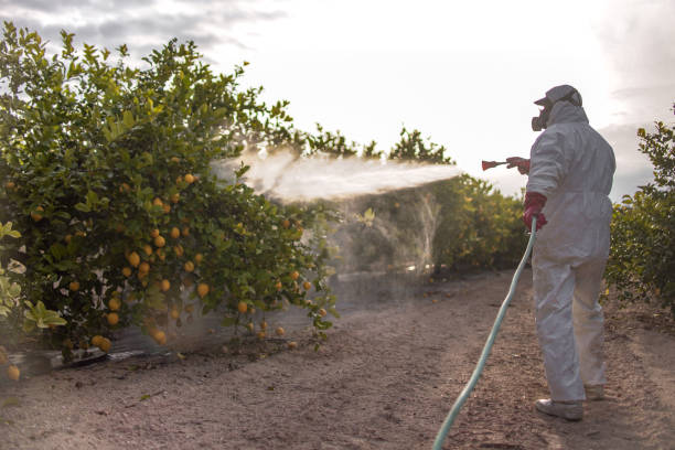 Best Mosquito Control Services  in Pion Hills, CA