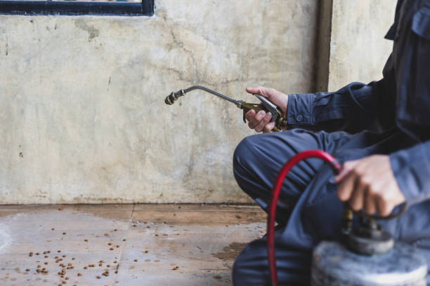 Best Wasp Removal Services  in Pion Hills, CA