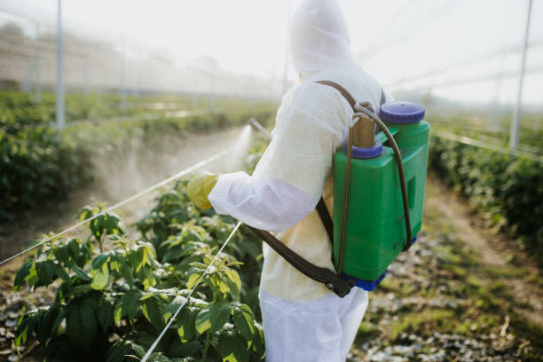  Pion Hills, CA Pest Control Pros